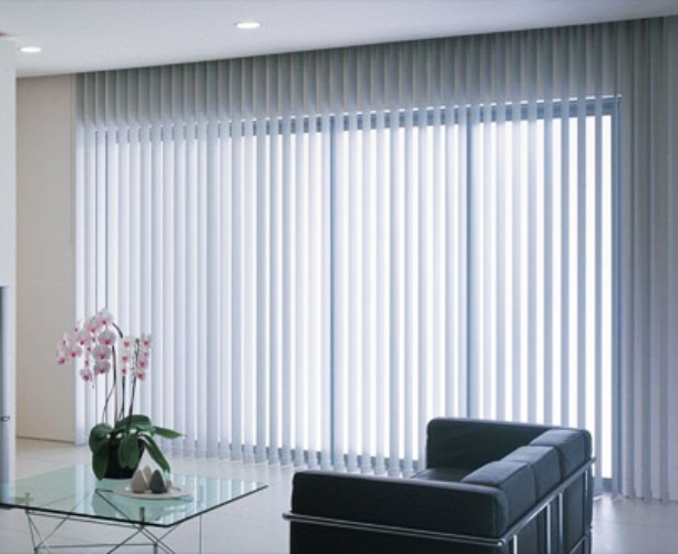 Vertical Blind